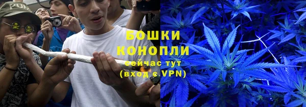spice Алзамай
