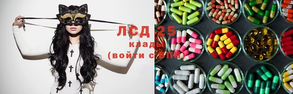 spice Алзамай