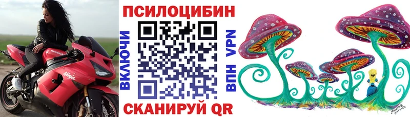 Галлюциногенные грибы Psilocybe площадка телеграм Харовск сколько стоит